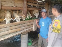 Pembinaan Peternakan Merupakan Langkah Konkret Polri Mendukung Ketahanan Pangan