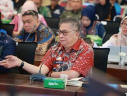 Wakil Bupati Barru Diminta Paparkan Praktik Baik Penanganan Stunting di Barru