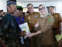 Pemerintah Barru Keluarkan Bantuan 15 Ton Benih Jagung, Merupakan Strategi Jangka Panjang Memperkuat Fondasi Ketahanan Pangan