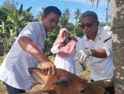 Lagi.. Capaian Kebijakan Pemerintah Barru 100 Hari Kerja : Pemeriksaan Dokumen Lintas Hewan Ternak Keluar Masuk Wilayah