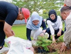 Bupati Barru : Pohon Aju Berru Cikal Bakal Pemberian Nama Kabupaten Barru