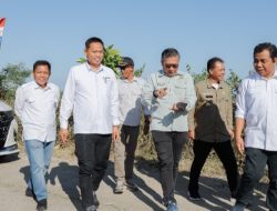 Jajaran Kementerian Pertanian RI Tanam Padi Bersama Pemerintah Daerah Kabupaten Barru