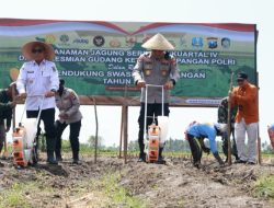 Dukung Swasembada Pangan Kabupaten Banyuwangi Tembus 199 Ton Produksi Jagung
