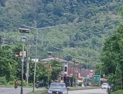 Minim Petugas : 69.000  Hektar  Lebih Kawasan Hutan Kabupaten Barru Sulsel Pengawasan  Tidak Maksimal