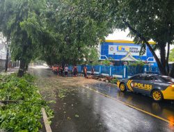 Personil Polsek KPN Bantu Bersihkan Pohon Tumbang di Depan Kantor KPPN Parepare