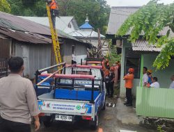 Petir Sebabkan Pohon Tumbang, Polisi Kawal Penanganan di Jalan Ahmad Yani