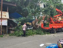 Bhabinkamtibmas Polsek KPN Bantu Bersihkan Dahan Pohon di Pinggir Jalan