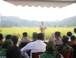 Dari Tudang Sipulung ke Panen Raya, Parepare Teguhkan Komitmen Swasembada Pangan