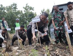 Polres Parepare Bersama TNI dan Pemkot Tanam Jagung Serentak di Bacukiki, Dukung Program Swasembada 2026