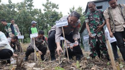 Polres Parepare Bersama TNI dan Pemkot Tanam Jagung Serentak di Bacukiki, Dukung Program Swasembada 2026