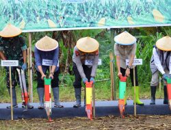 Kapolda Sulsel Ikut Tanam Jagung di Maros, Dukung Program Swasembada Pangan Nasional